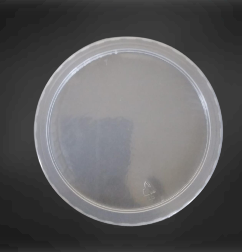 Clear lid for round containers