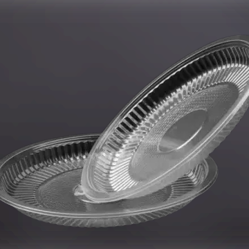 clear plastic plate 8.5”	