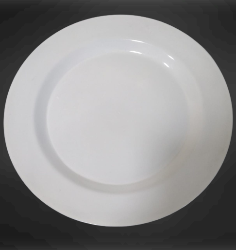 Medium plastic plate